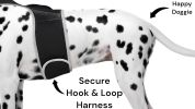 Wireless GPS Pet Chip Tracker for Realtime Pet Surveillance Security Size:L